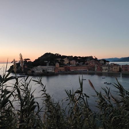 Ferienwohnung La Vie En Rose Flat Sestri Levante Exterior foto