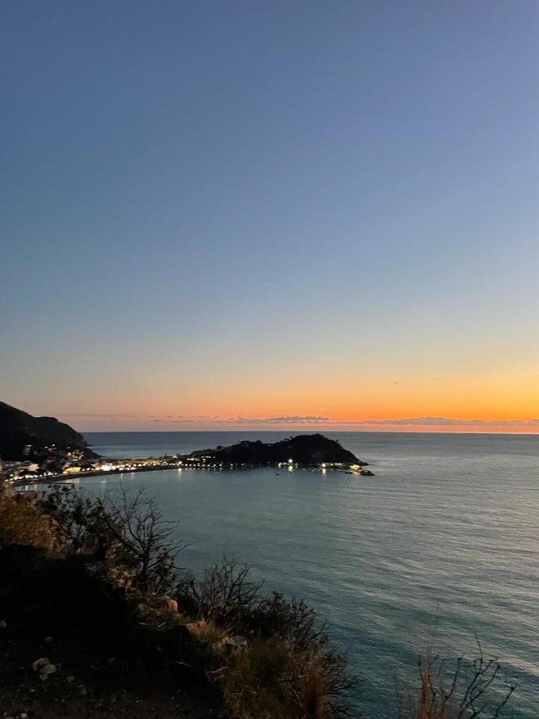 Ferienwohnung La Vie En Rose Flat Sestri Levante Exterior foto
